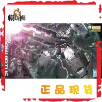 Vandet MG 1100 De Angels Defat Zine Dre Double Spirit Up to Assembled Model Spot