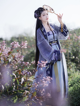 Viscount Autumn Color Flower Crane Star Hanfu Hanfu Song-made Long Shirt Long Shirt Sling Set Daily Spring and Summer