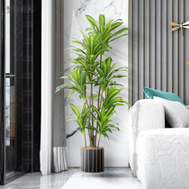 Roman Mama Emulation Green Planting Indoor Living Room Large Basil Wood Potted Ground Fake Vegetal Basil Decorations