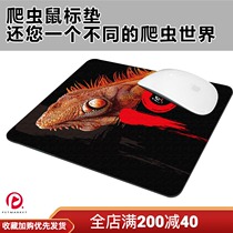 Reptile mouse pad tortoise chameleon green iguana frog and other reptile personality patterns