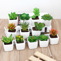  Mini simulation plant small potted suit with pots succulents green plant bonsai ornaments Home decoration fake flowers