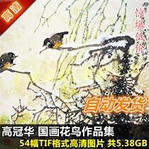 National painting HD pictures High Guanghua works painting Set of 54 full set of flowers and birds Imitation Design Material Decoration Printing Spray Painting