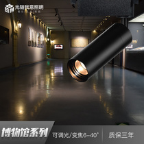 Dimmable zoom LED track spotlight Ceiling-mounted museum and art museum exhibition hall light Photo painting Surface-mounted COB spotlight