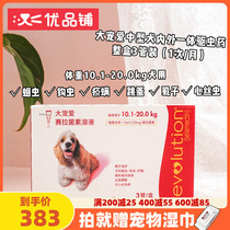 Superior Pint Great Pamby Dog With Insect Repellent in the body Insect Repellent Drops 3 Applicable 10 1-20kg Puppy