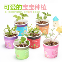 Creative mini potted office small plant planting table children baby DIY radiation-proof micro landscape ornaments