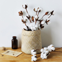 Cotton dried flower big branch photo props flower diy interior decoration decoration simulation flower forever flower Flower Flower Flower material to keep flowers