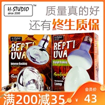  Lifetime warranty Reptile UVA Sun lamp Heating heating lamp Tortoise Lizard Soft light Rainforest strong light Dry land