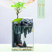 Fish tank home fighting fish tank living room small ultra-white glass ecological landscaping full set of tank micro-landscape plant water and land tank