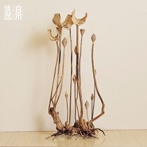 Jingquan new Chinese Zen creative wood carving Lotus crafts tea room living room TV cabinet next to the porch floor ornaments