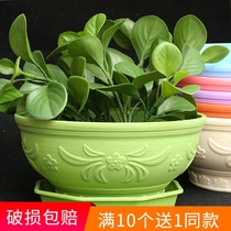 Environmentally friendly thickened flowerpot resin plastic European style minimalist green round flowerpot fleshy balcony green planting flowers and vegetables