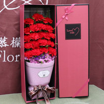 19 pink carnations Fujian Longyan City Xinluo District Fujian Province