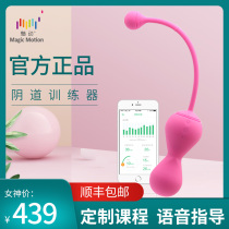 Charm Kegel ball Home private parts tight orgasm Vaginal dumbbell trainer Pelvic floor muscle rehabilitation artifact