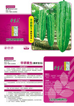 South China Agricultural University Huayan crispy bitter melon Bitter melon seeds four seasons high yield disease-resistant head and tail uniform