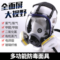 Gas mask full cover protection chemical gas pesticide Car painting fire formaldehyde industrial dust mask