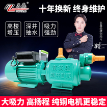 Famous Lei screw self-priming pump household tap water booster pump well pump 220V high head pump pump