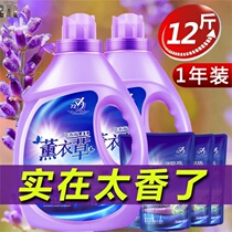 Perfume laundry detergent fragrance lasting promotion combination underwear removal mite home concentrated bag home bag home