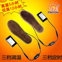 2020 timing temperature-regulating type hot shoes lithium battery charging heating shoes warm feet electric shoes