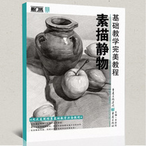Stepping stone Basic teaching Perfect tutorial Sketch still life book Sketch still life copy book template structure Li Jiayou grade examination introduction to learn to draw from scratch Steps Analysis Structure Art examination Art book College entrance examination joint examination