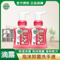 Drip foam inhibitory handwashing liquid foam children's home sterilization 250ml*2 bottled cherry fragrance