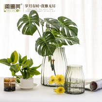 Modern simple Dai Ran flower arrangement vase Nordic large transparent hydroponic glass vase living room creative Vase ornaments