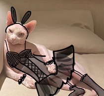 Freight premium price difference (all the money in the whole shop can be customized with four feet oh details can be consulted with customer service)