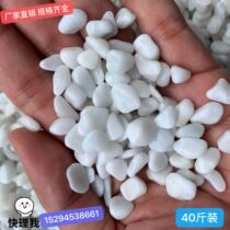 Natural white stone pebbles fleshy pastels polished flower pots decorative white stone small white stone gravel