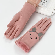 Suede gloves cotton ladies winter Korean students thin autumn and winter girls touch screen Cycling Plus velvet thickened warmth
