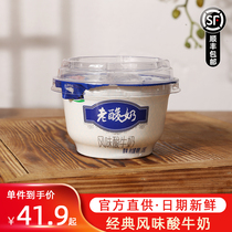 Junlebao classic old yogurt flavor yogurt flavor yogurt Probiotic fermented milk yogurt nutrition 139g24 cups whole box