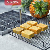 Yangchen pineapple pastry mold 24 even non-stick rectangular thickened frosting cookie mold baking household pineapple pastry mill