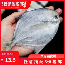 Fresh silver pomfret Jiaodong frozen silver pomfret Jiaodong Pomfret White Pomfret 500g East Sea Pomfret 3 servings