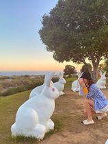  Xue Jingling US direct mail photographed by default to accept micro-flaws US direct mail is not returned and not replaced