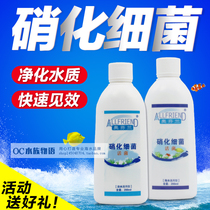 Austrian Finland active liquid nitrifying bacteria Water quality stabilization water purifier Seawater freshwater Arowana Koi nitrifying bacteria