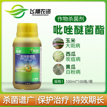 巴斯夫 凯润 吡唑醚菌酯 香蕉叶斑病葡萄霜霉病农药杀菌剂100ml