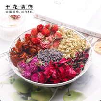 Xin handmade candle diy material dried flower candle DIY making wax slice special aromatherapy gypsophila decorative ornaments