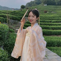 Original Hanfu female Wei Jin Wind fairy elegant chest skirt suit Chinese style daily improvement fairy ancient dress summer