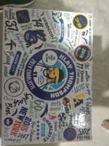 STS limited FATKO all-star version enamel doll spot