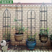 Ball Orchid Racks Plant Stents Vines Styling Frame Blue Snowflake Mountain Urtle Climbing Vines Flower Pots Tie-Flower Fixed Bracket