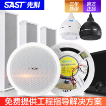 Xianke ceiling ceiling speaker constant pressure public broadcasting ceiling wall-mounted speaker hanging ball outdoor waterproof sound column Wireless embedded shopping mall door shop restaurant supermarket background music audio