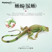 Wantmoin playing molelizard lizard iguanas model Long 33CM Children emulated animal model Toys
