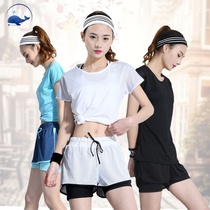 Set single piece] New summer mesh yoga clothing running sports suit female slim quick-drying fitness morning running suit