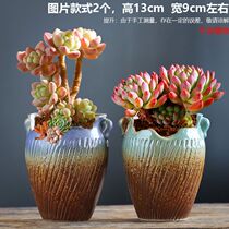 Gap Laozhuang Multi-Meat Flower Pot Master Retro High Basin Composition Suit Special Price Flush carb Meat Plant Big brief