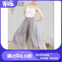 Dance Lovers Dance Pants Female Adult Classical Dance Skills Pants Modern Dance Loose Broadlegged Pants Chinese Dance Teacher Clothing