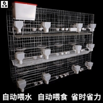 Dove chicks Pigeon Cage Rabbit Large Plus Coarse Parrot Iron Wire Cage Chicken Cage Subsupplies Breeding Farm Chicken Shack Shed