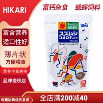 Japanese high enough Hikari cricket white cricket oil gourd live sheet feed rich calcium nutrition balance