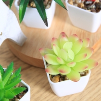Simulated meat plant mini-potted plant for fake green plant decoration indoor living room decoration with swing pieces