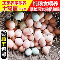 Authentic Farmhouse Fresh Earth Eggs Scattered self-bred natural grass Eggs Moon Egg Chai Dumber Eggs 30 Loaded Eggs