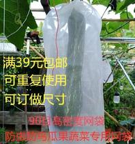 Guava fruit bag Grape bird-proof fly-proof tomato melon protective cover Fruit forest flyscreen flyscreen bag