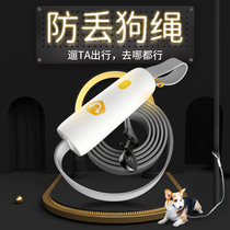 Fixable pooch traction rope with lock for dog traction with small and medium dog dog chain Kokie Dog Bolt Dog Rope