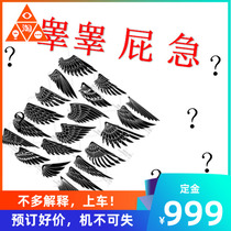 Preemptive booking high PG flying wing zero flying wing assembly toy insurance policy is not insured