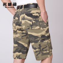 Middle-aged beach pants cotton wu fen ku middle-aged mens casual plus fertilizer XL elastic high-waisted shorts fei lao ku